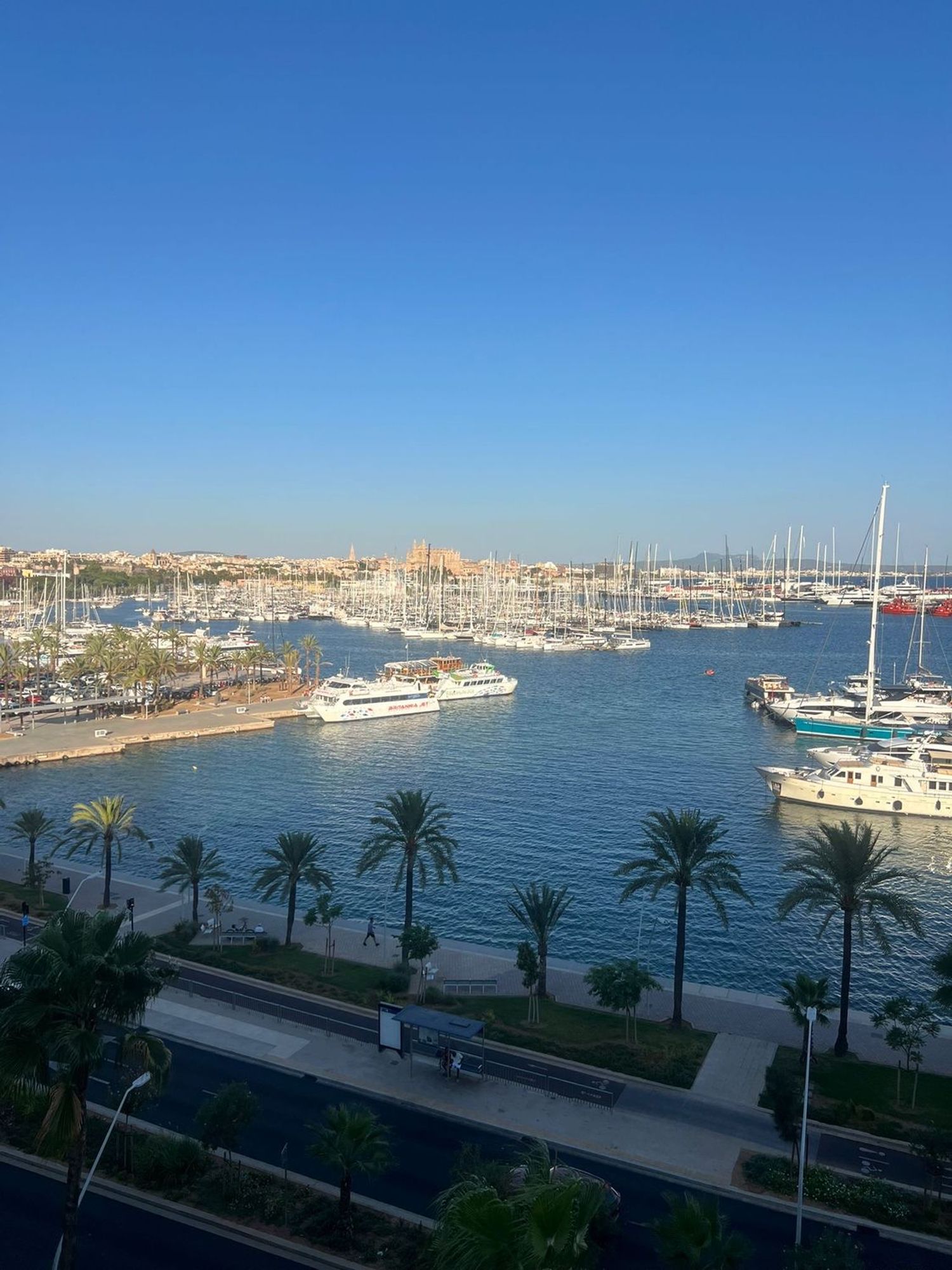 Piso en Avenida de Gabriel Roca, 26, Paseo Marítimo - Foto 8