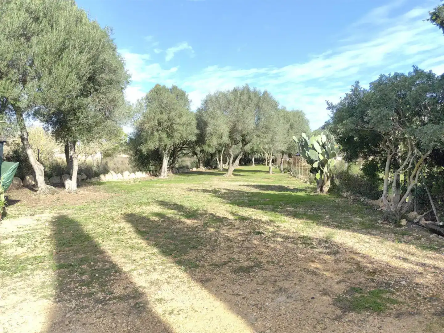 Finca rústica en  Camí d'Es Coix Carro 523 - Foto 11