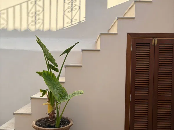 Chalet pareado en Urb. son espanyolet Barrio Son Espanyolet - Foto 12