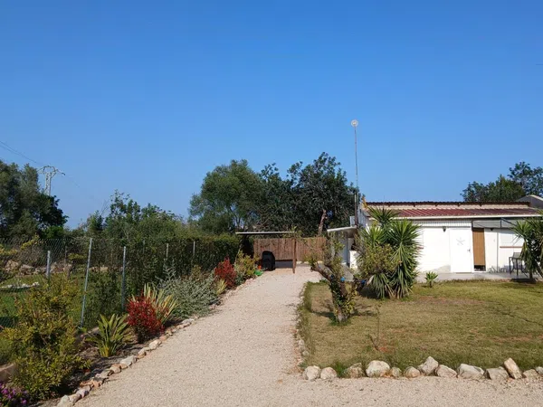 Finca rústica en Plaza Poligono 14, 57 Parcela, Las Atalayas - Urmi - Cerro Mar, Las Atalayas - Urmi - Cerro Mar - Foto 2