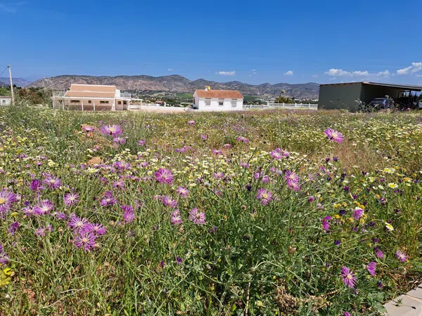 Finca rústica en Camino Arroyo Blas Gonzalez, 2, Buenavista-Lauro Golf, Buenavista-Lauro Golf - Foto 9