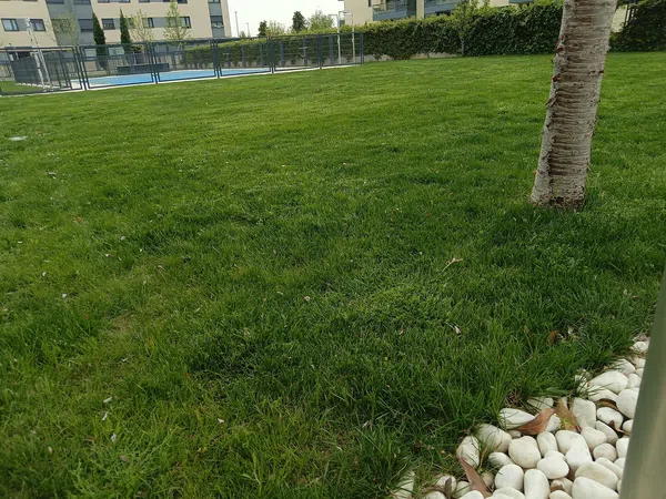 Piso en Avenida de los Reyes Catolicos, 8 - Foto 12