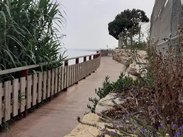 Piso en Calle Terral, 3, Punta Plata - Foto 17