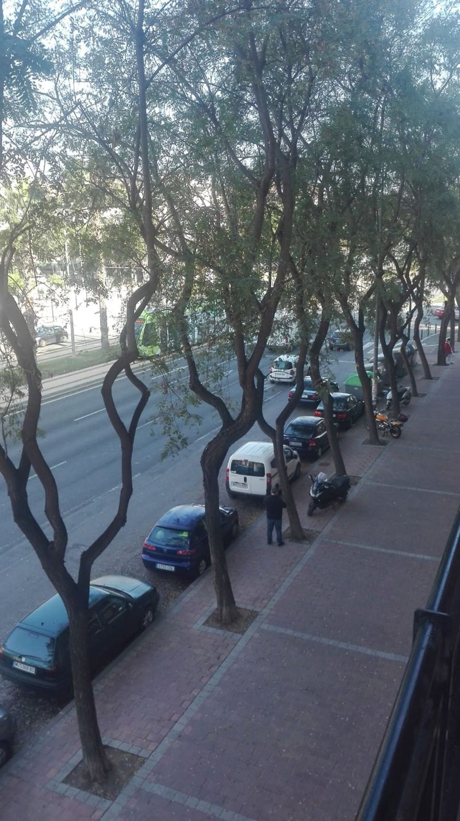 Piso en Avenida juan carlos i, 21, Santa María de Gracia - Foto 9