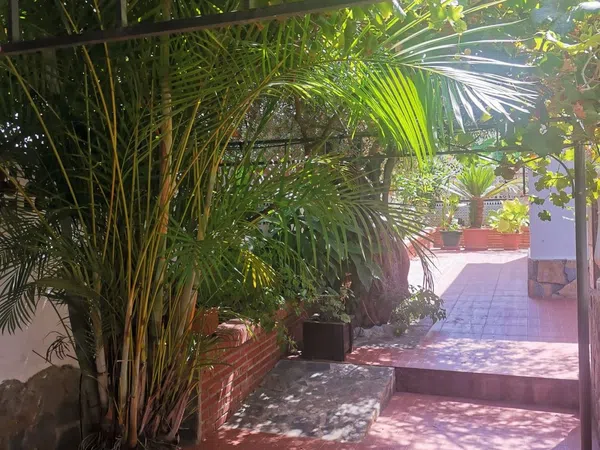 Casa o chalet independiente en Calle Mayoral, 19, Manantiales - Lagar - Cortijo, Manantiales - Lagar - Cortijo - Foto 37