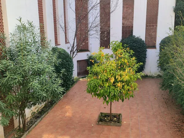 Piso en calle Laguna Larga, 1 - Foto 23