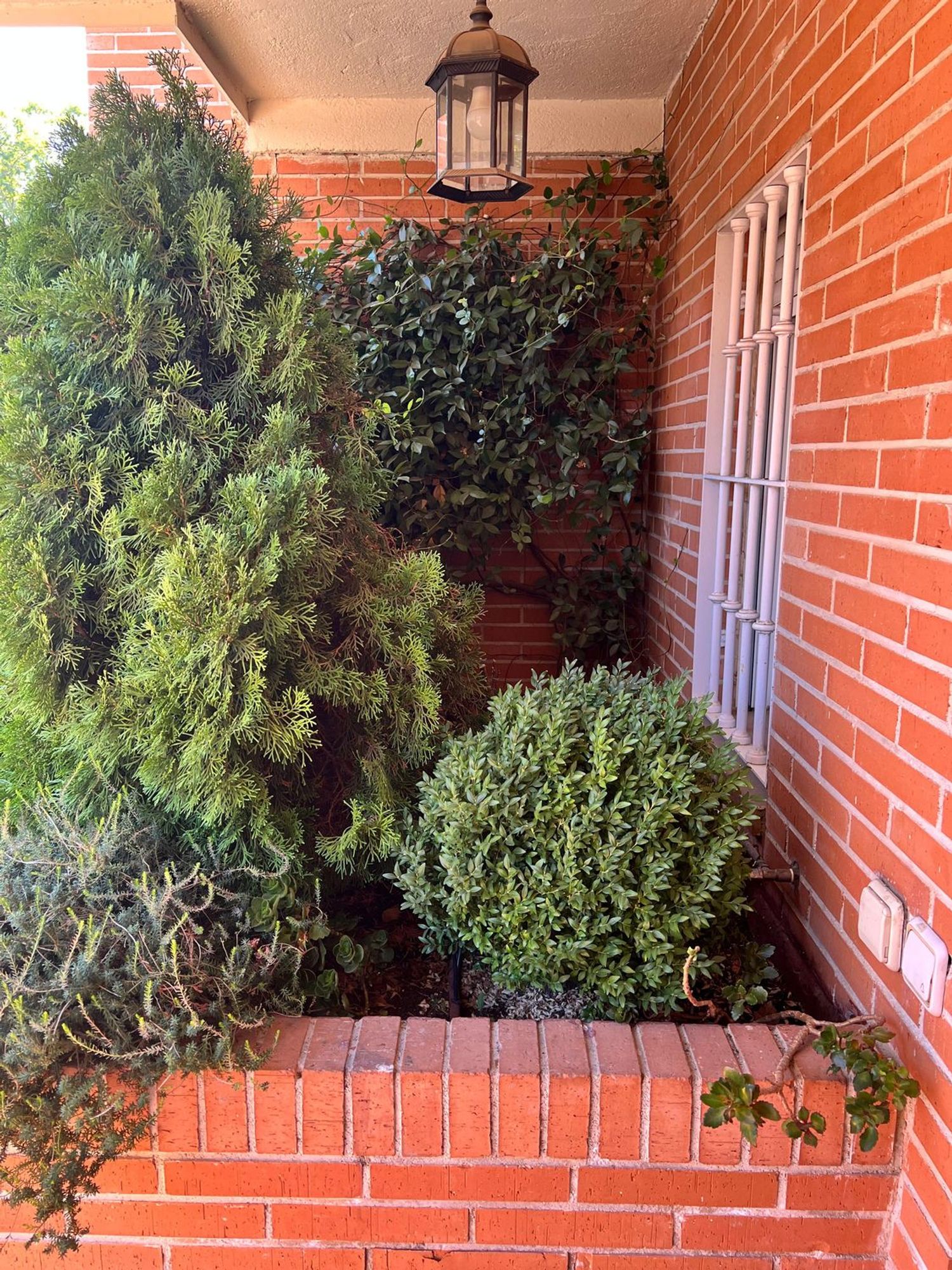 Chalet adosado en calle de Arévalo Lara, 41 - Foto 4