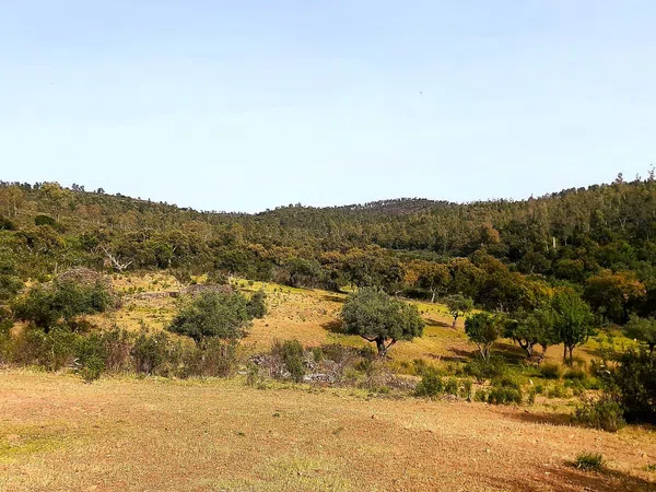 Finca rústica en La Lobera s/n - Foto 24