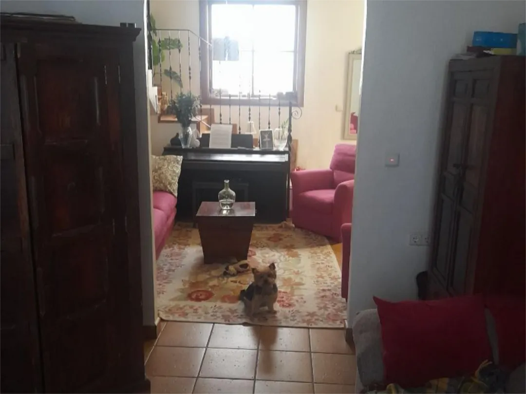 Piso en  Avenida de Juan Carlos I 20 - Foto 13