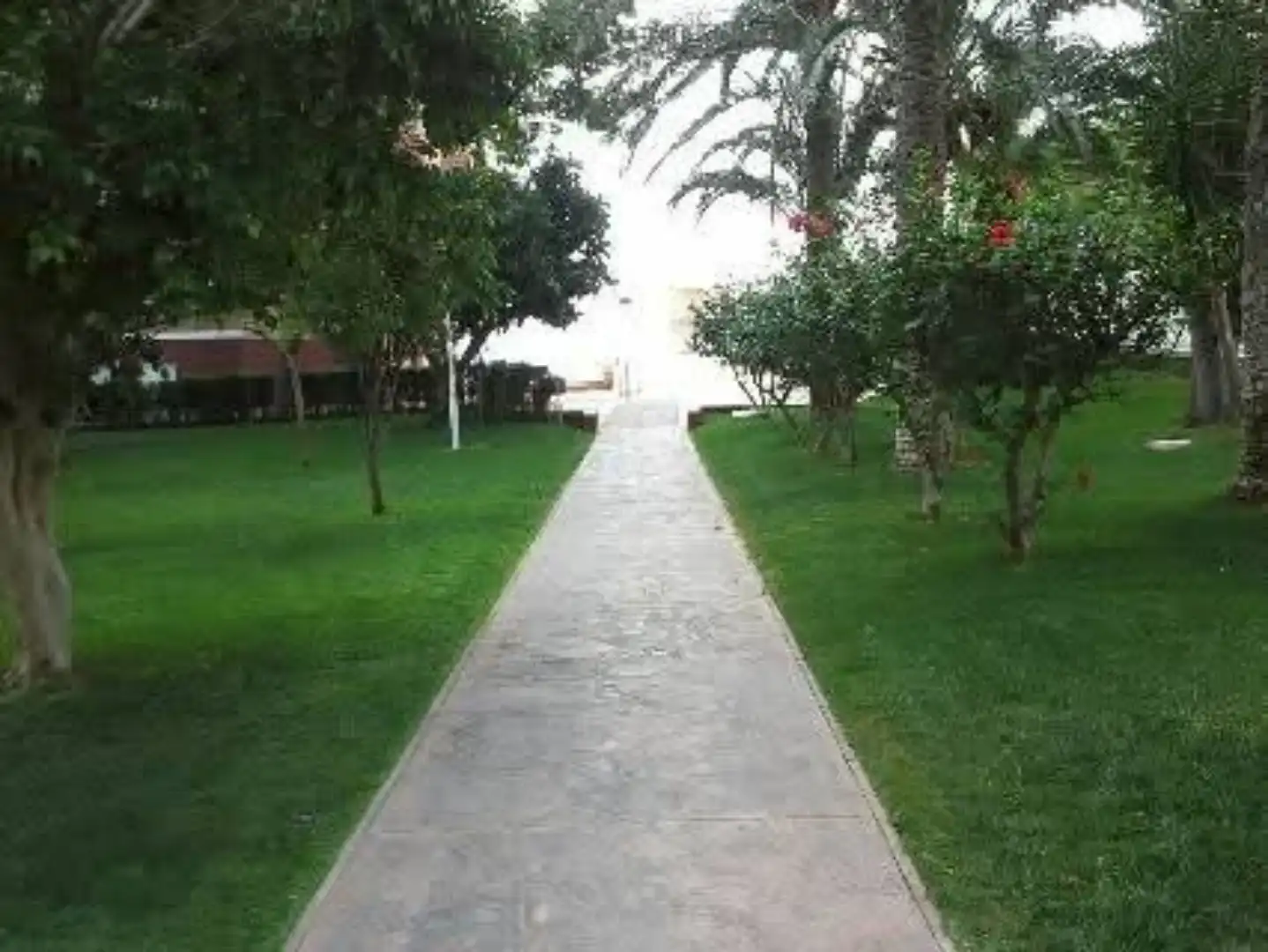 Piso en  Avenida de la Armada Española 7 - Foto 20