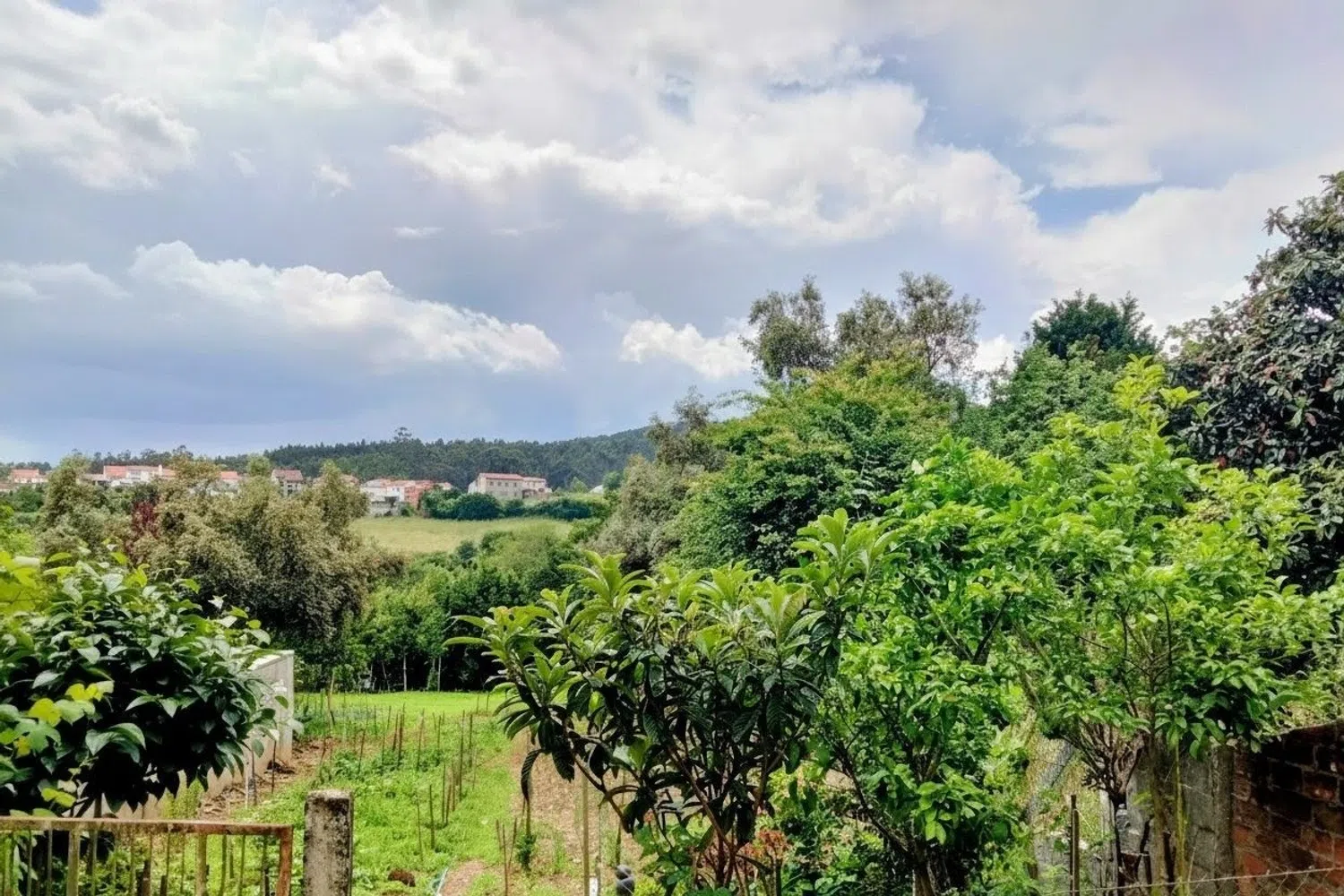 Piso en Campus norte - S.Caetano - Foto 4