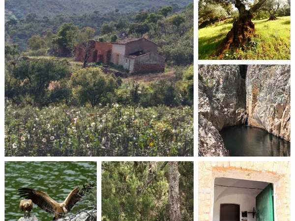Finca rústica en La Lobera s/n - Foto 1