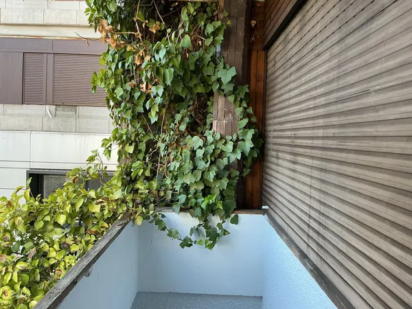 Piso en Calle de Costa Rica, 9 -11, Nueva España - Foto 7