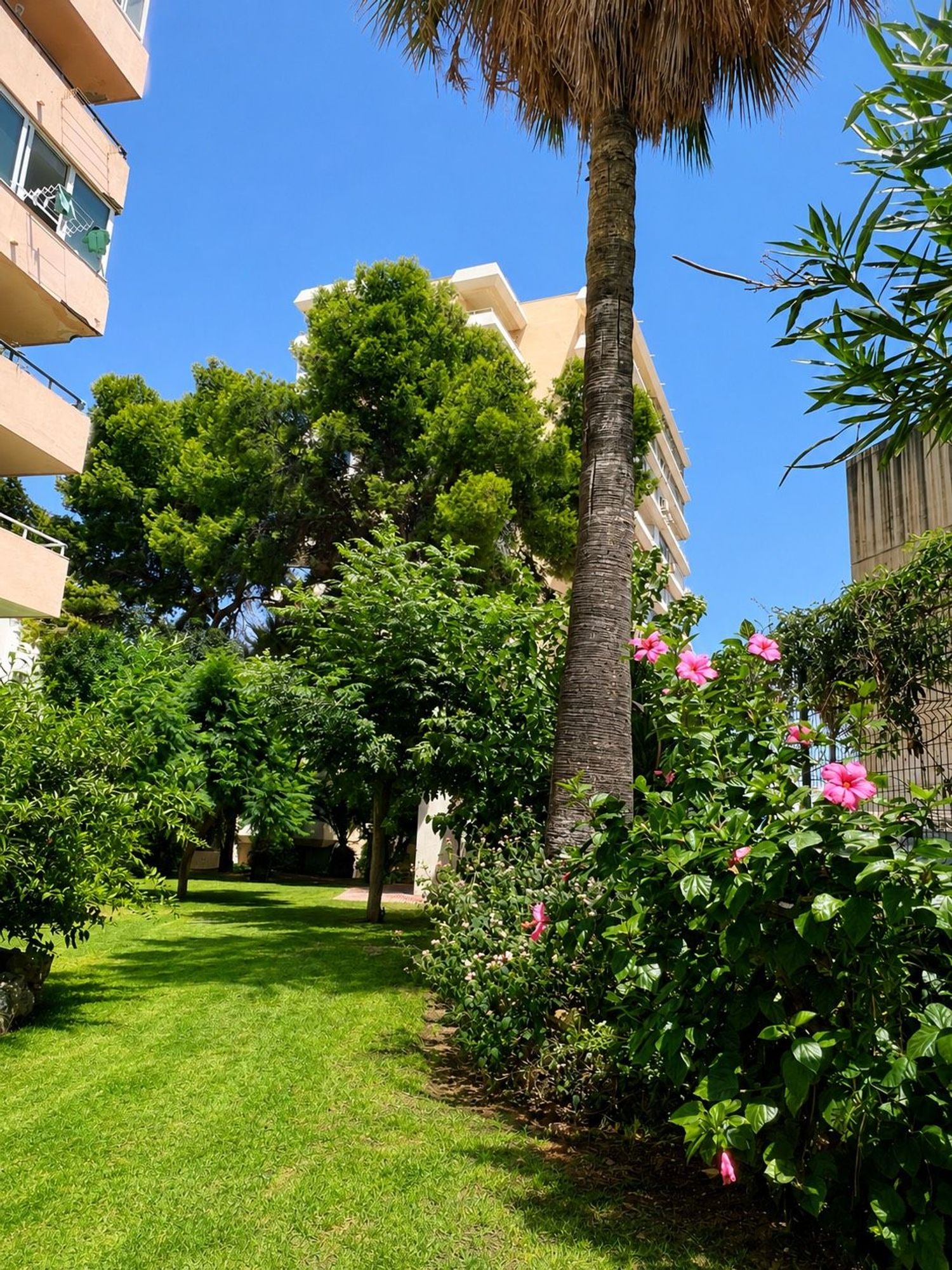 Estudio en Avenida Marysol, 18, Solymar - Puerto Marina, Solymar - Puerto Marina - Foto 12