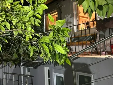 Piso en  Calle Ramón y Cajal 16 - Foto 1