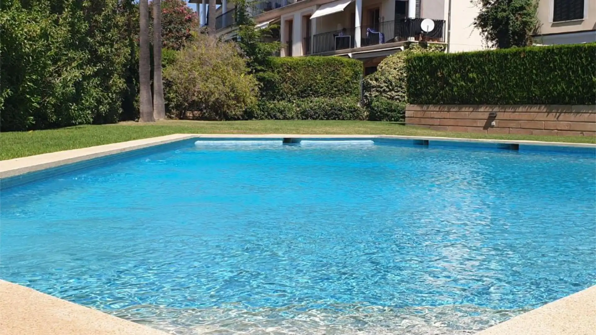 Planta baja en  Carrer del Mussol 21 - Foto 6