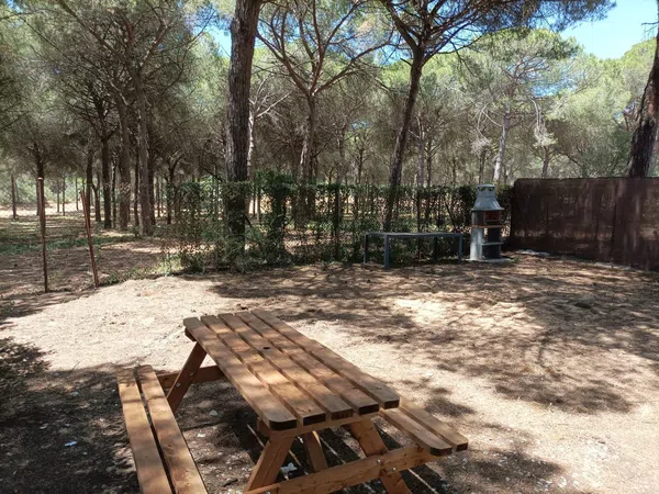 Casa o chalet independiente en Calle Obispo, 4, Cuatro Pinos-El Carmen - Foto 4