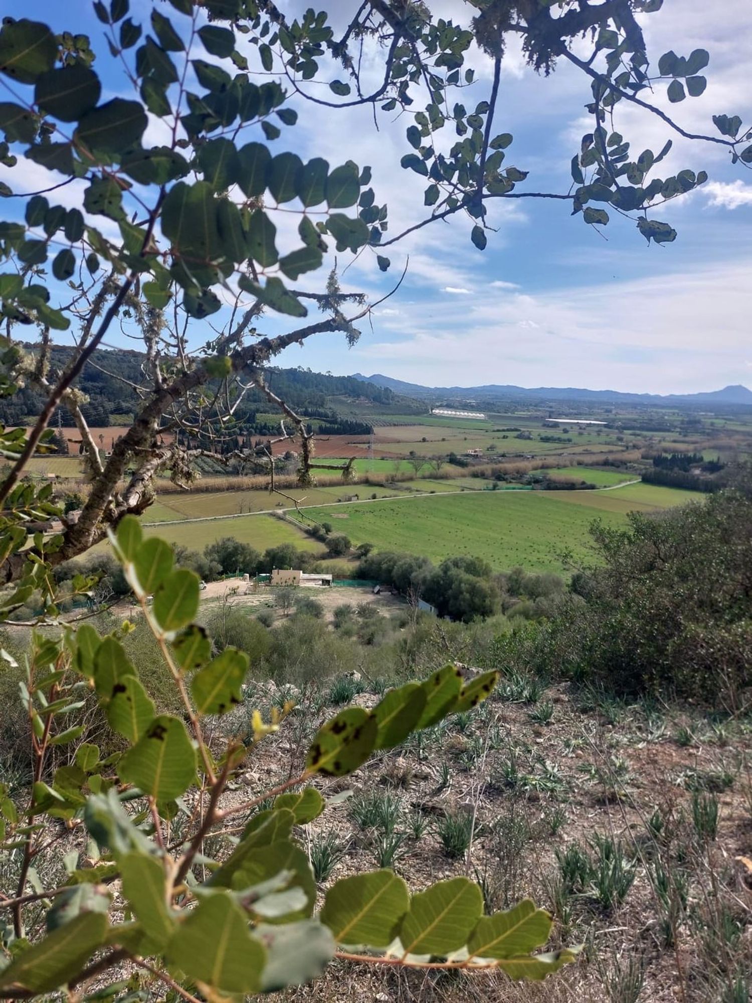 Casa rural en Camino de ses Rotes de sa Canova, 15 - Foto 9