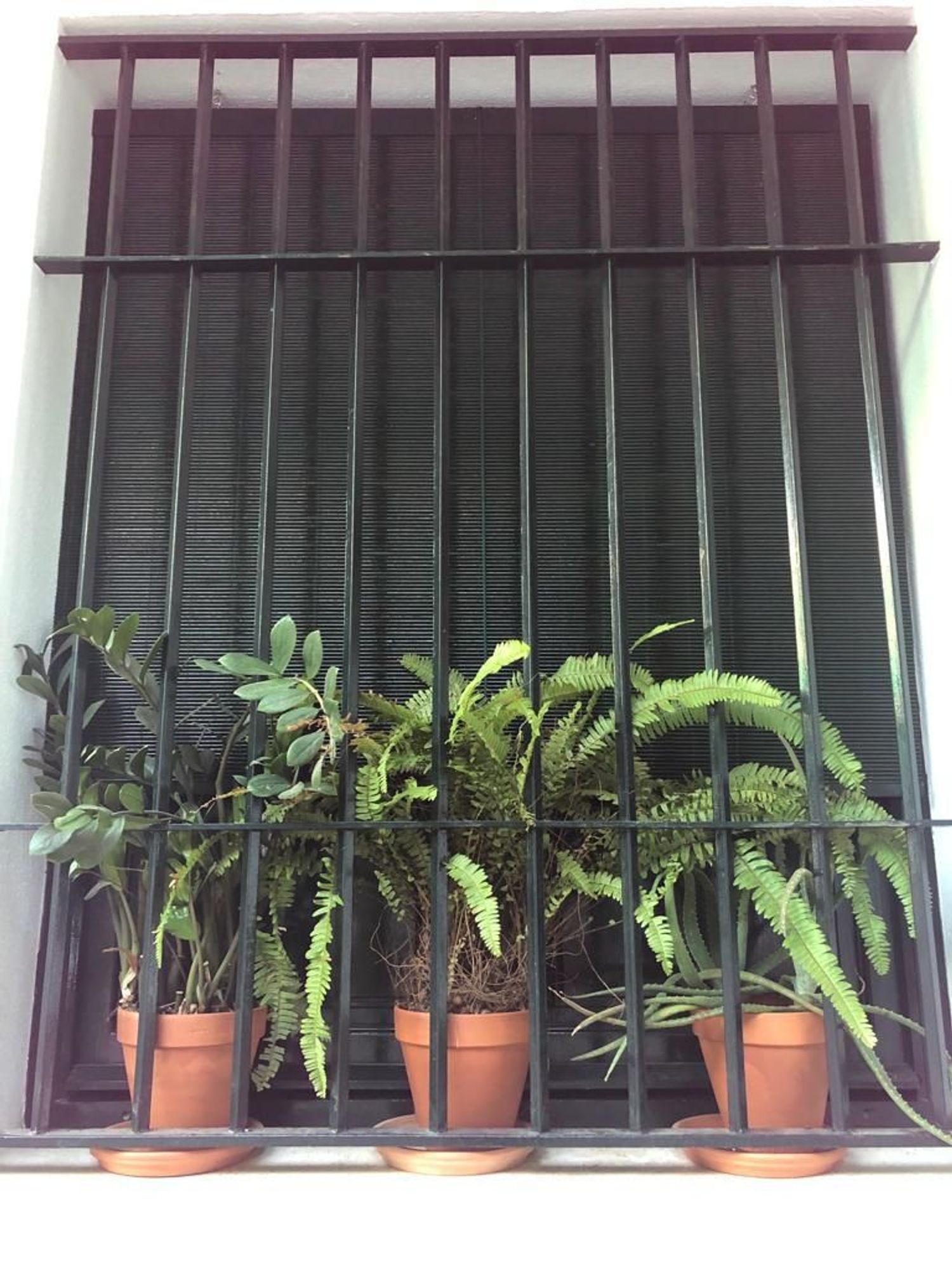 Piso en calle Evangelista, 26 - Foto 2