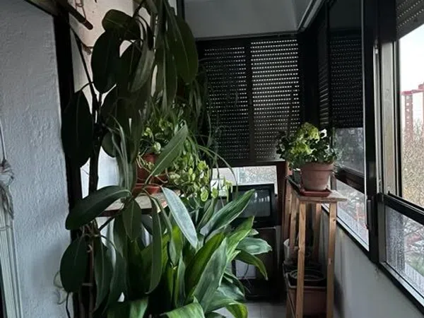 Piso en calle Parque Grande, 2 - Foto 27