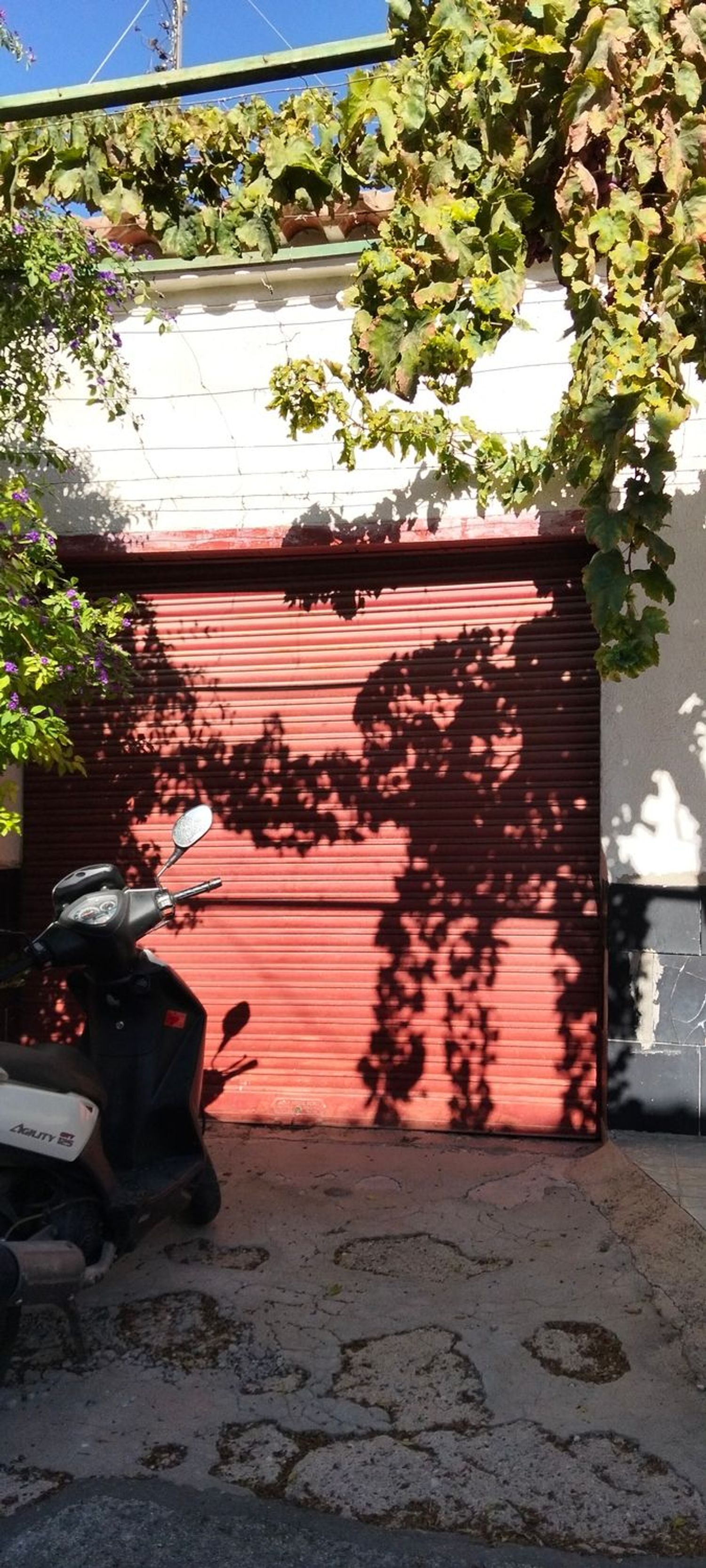 Casa rural en Canada de Marines s/n, San Diego-Los Ángeles-San Cristóbal, San Diego-Los Ángeles-San Cristóbal - Foto 23
