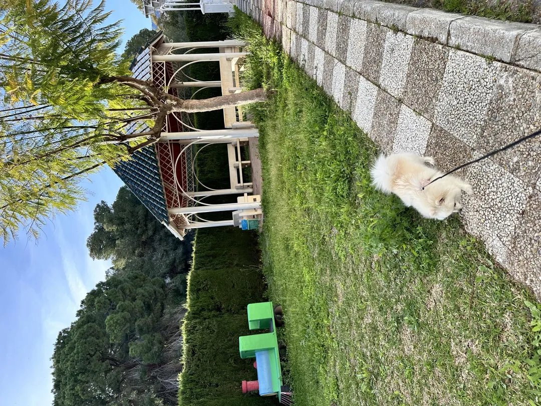 Casa adosada en  Calle e Ramos de Sierrezuela 42 - Foto 3