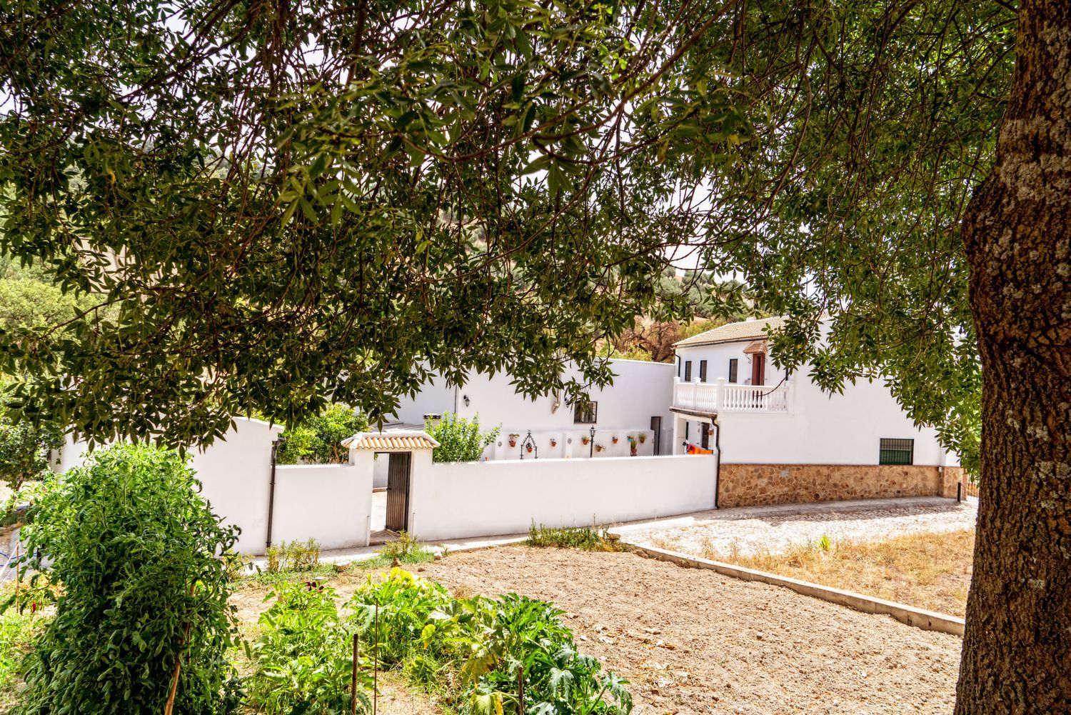 Cortijo en Cortijo en Diseminado Diseminados, 439 - Foto 26