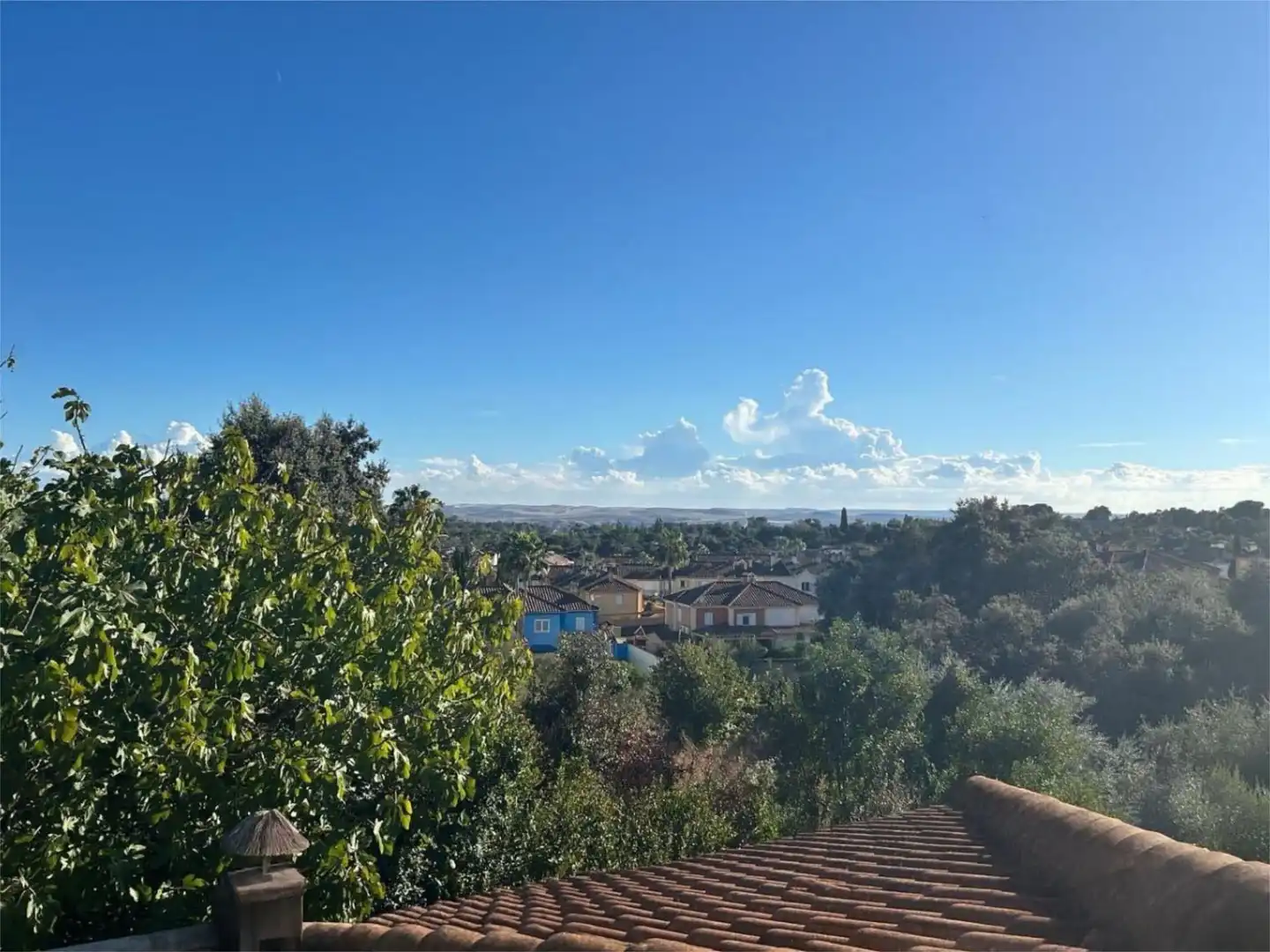 Piso en  Calle Miguel de Molina 16 - Foto 9