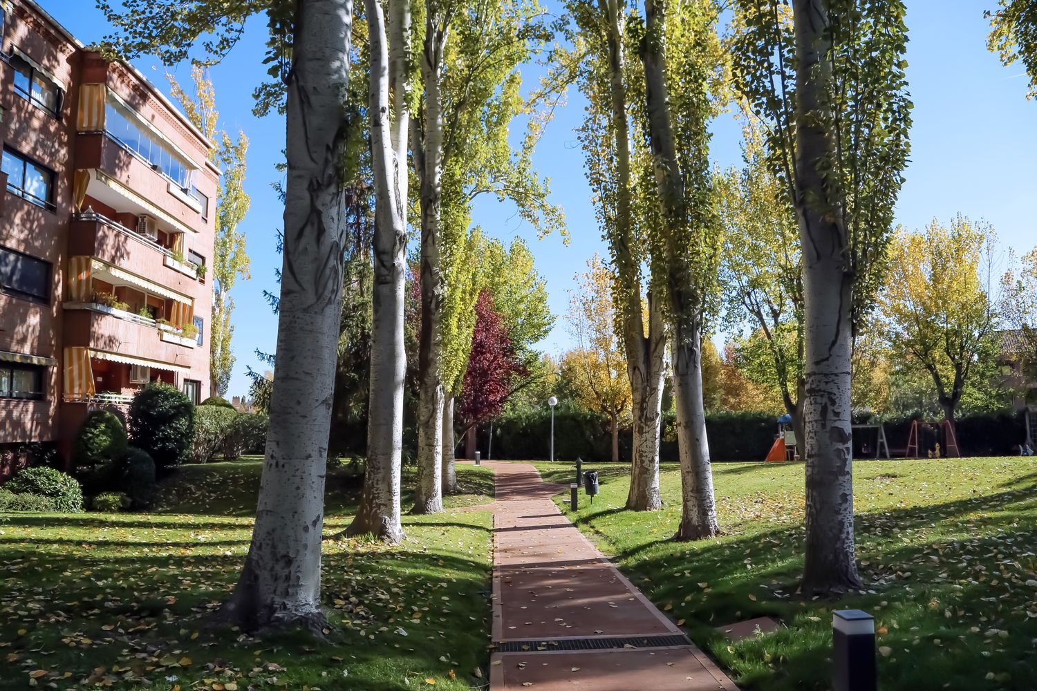 Piso en Prado de Somosaguas - Foto 22