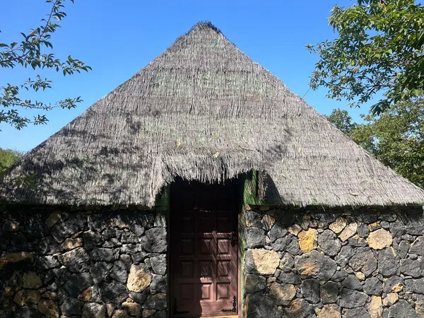 Casa o chalet independiente en Calle de Los Cominos, 63, El Bebedero - Pinolere - Aguamansa, El Bebedero - Pinolere - Aguamansa - Foto 15