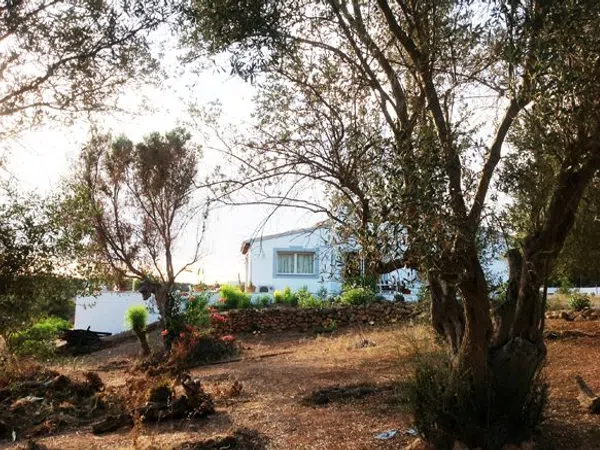 Casa rural en Carretera Palmanova, 27, Calvià pueblo, Calvià pueblo - Foto 2