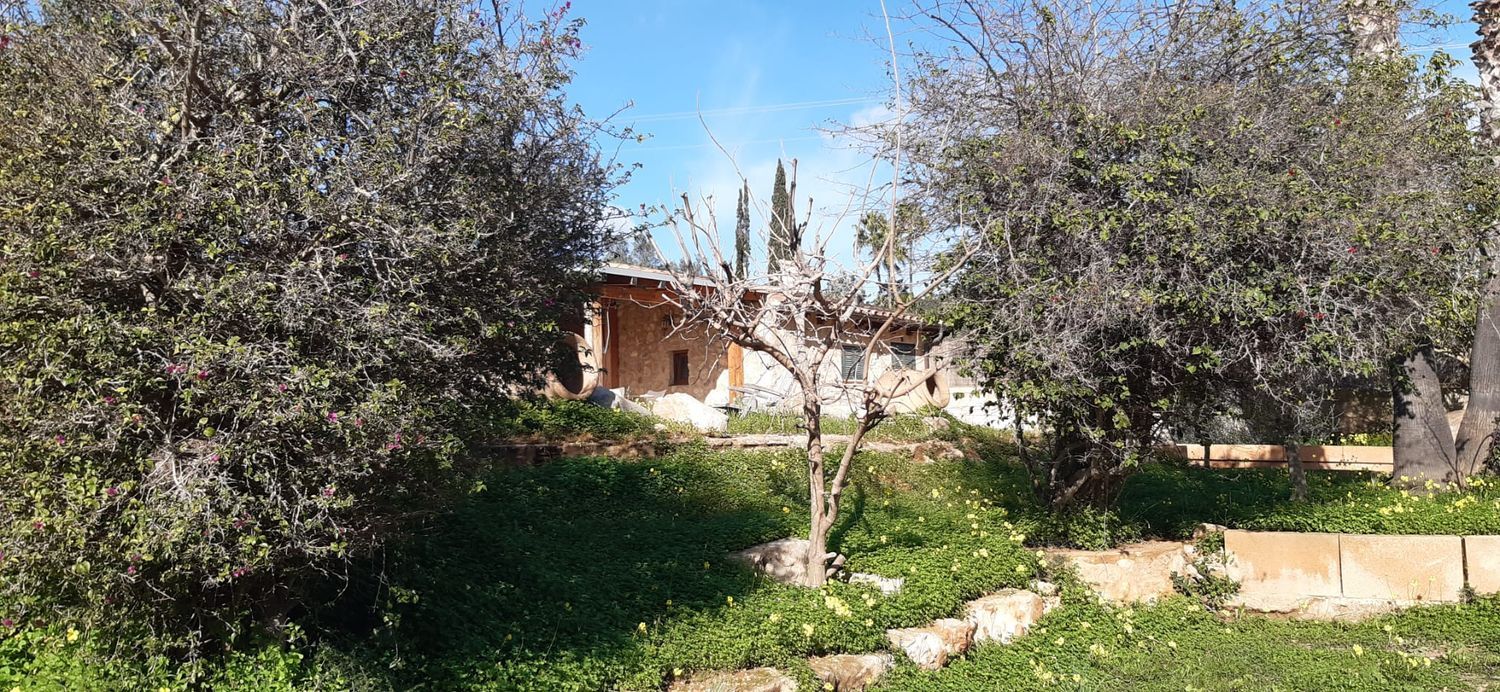 Casa o chalet independiente en Port d'Andratx, Port d'Andratx - Foto 6
