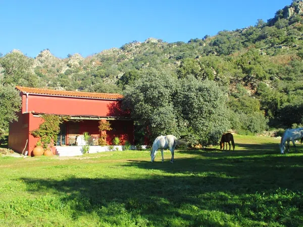Finca rústica en Carretera Albalá del Caudillo s/n - Foto 7