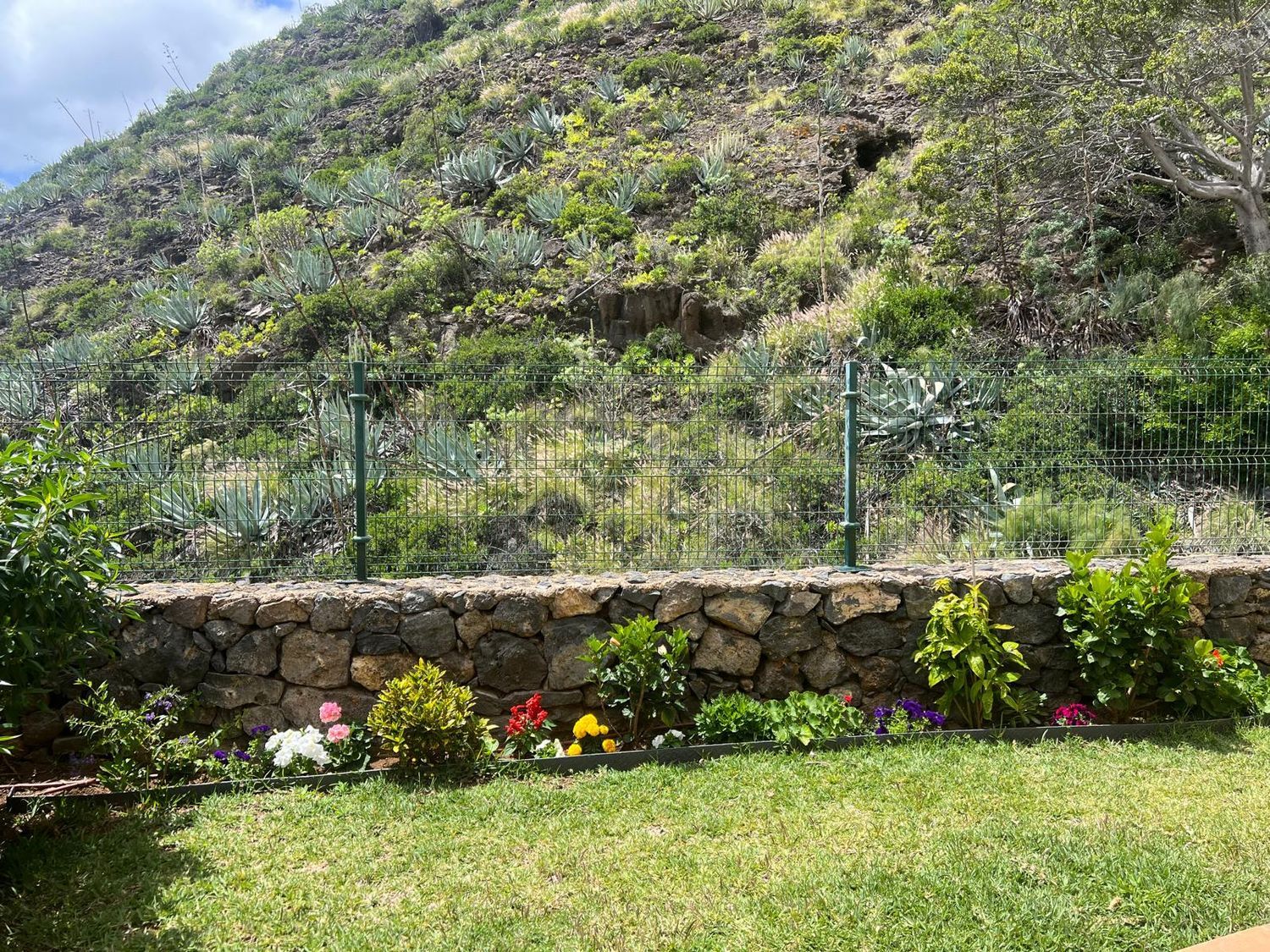 Piso en Calle Rubens Marichal López, 67 a, Ifara-Las Mimosas - Foto 10