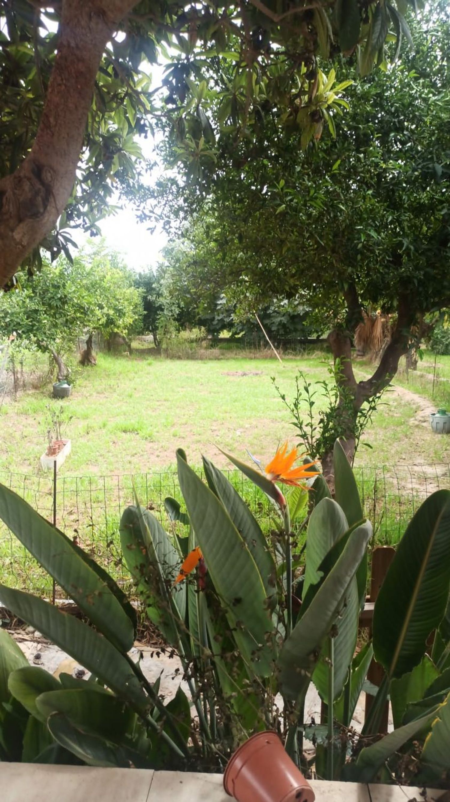 Chalet pareado en camino de Barreras, 35 - Foto 6