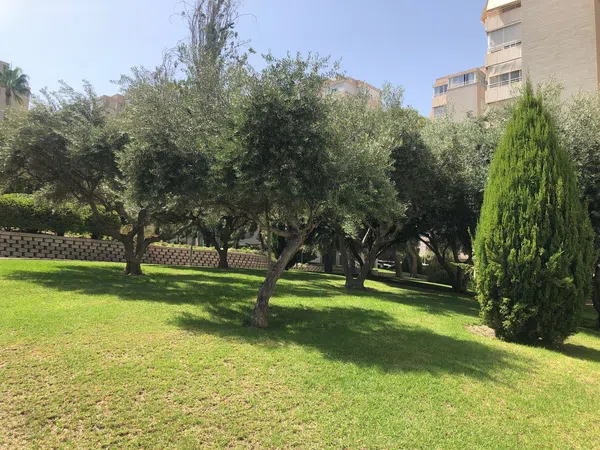 Piso en Avenida de la Costa Blanca, 102, Cabo de las Huertas - Foto 32