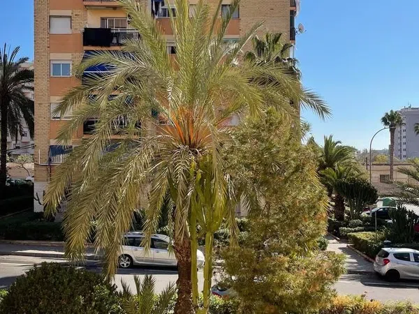 Piso en Calle Sierra Pándols, 6, Colonia Requena - Virgen del Carmen - Foto 6