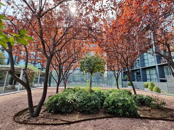 Estudio en avenida del Cerro del Águila, 2 - Foto 12