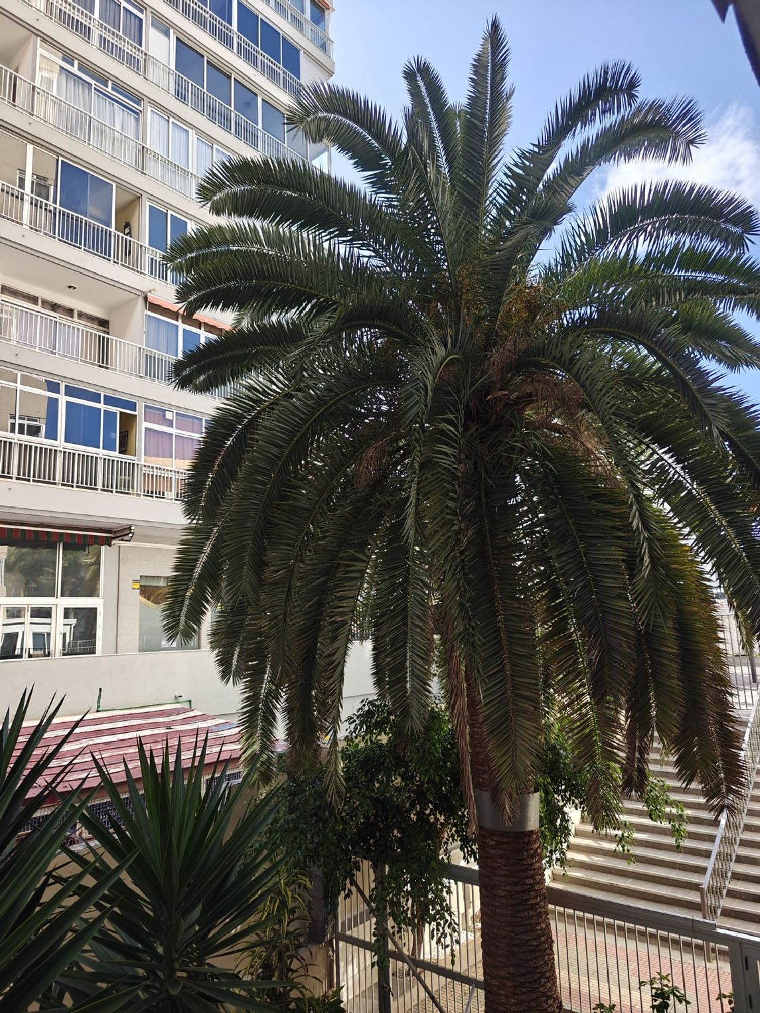 Estudio en Familia Betancourt y molina, 26 - Foto 14