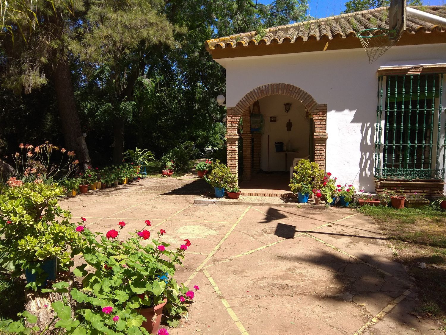 Finca rústica en Urb. Finca Atalaya Alta s/n s/n - Foto 13