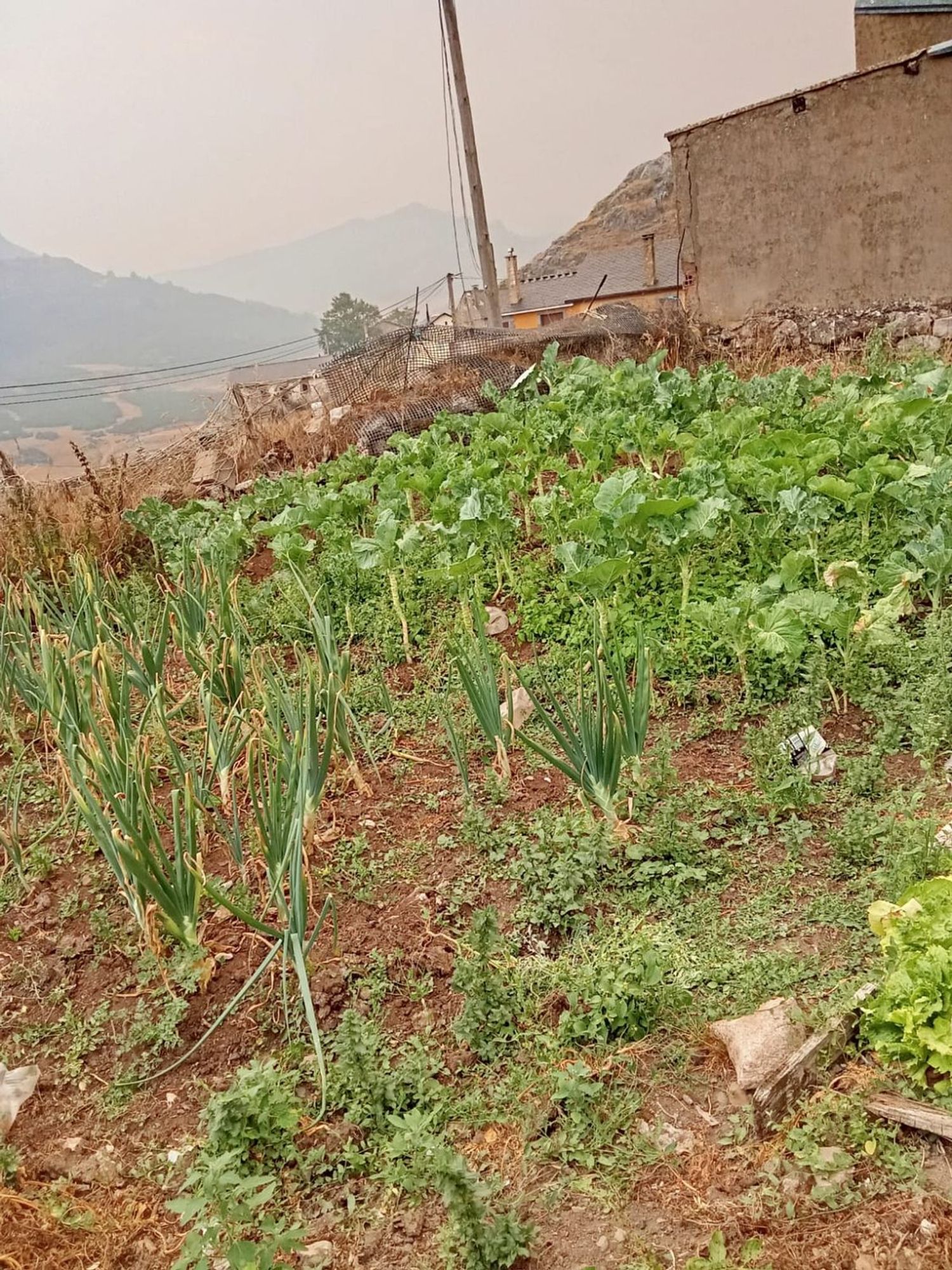 Casa rural en Calle s/n - Foto 14