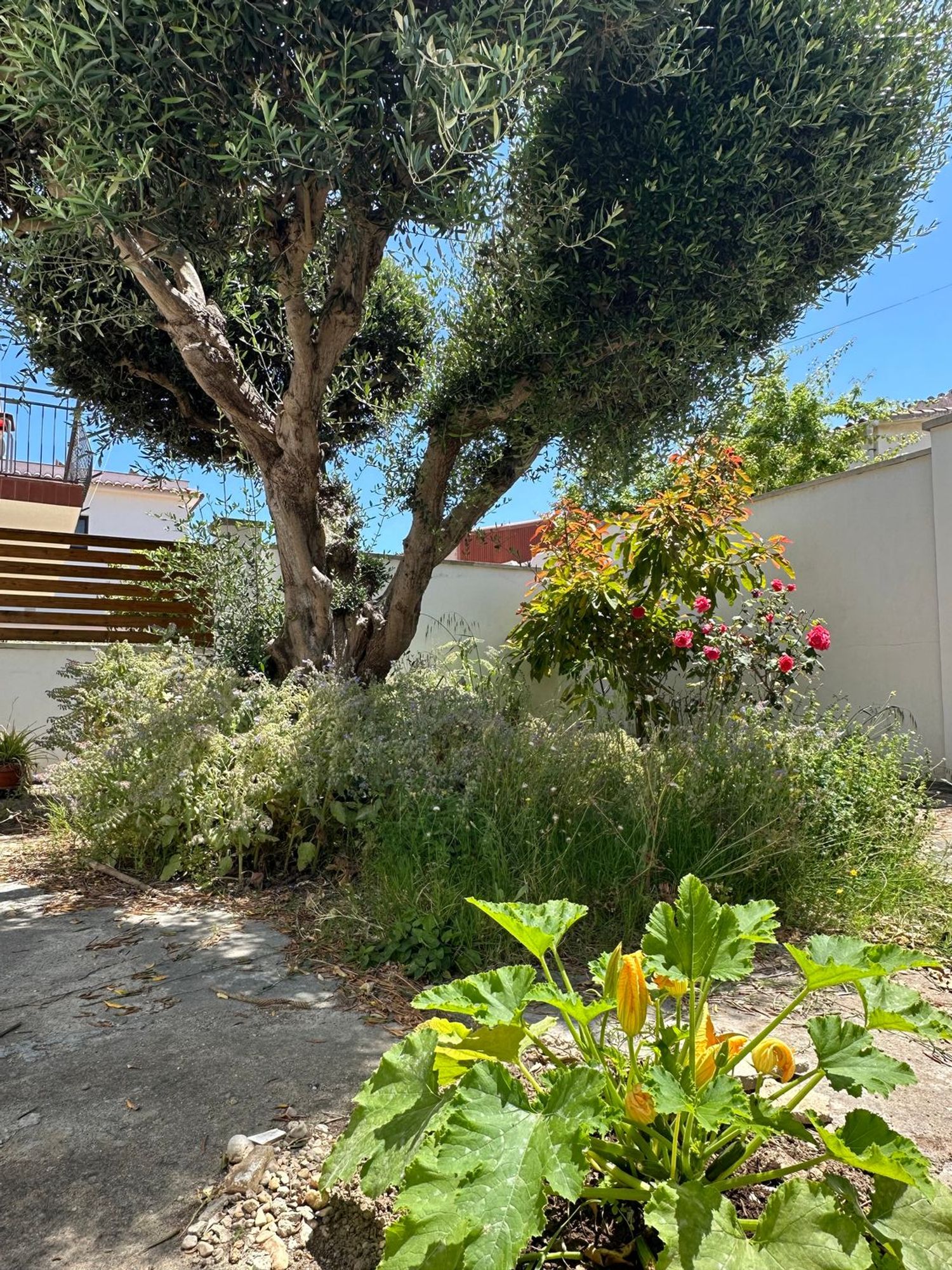 Casa o chalet independiente en Avenida França, 44, Vallpineda-Rocamar, Vallpineda-Rocamar - Foto 5