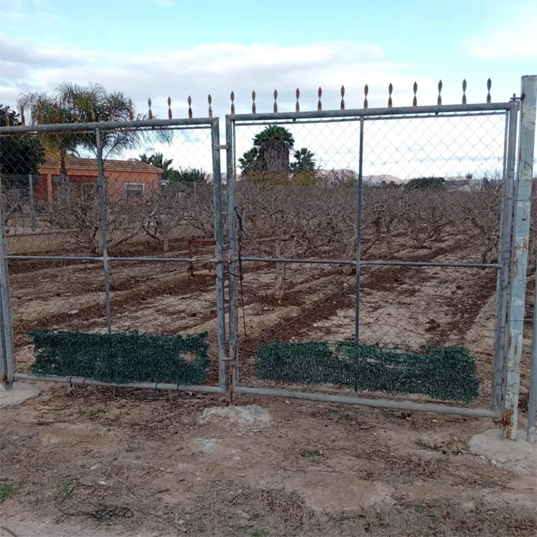 Finca rústica en  Avinguda de Dolores 1009A - Foto 3