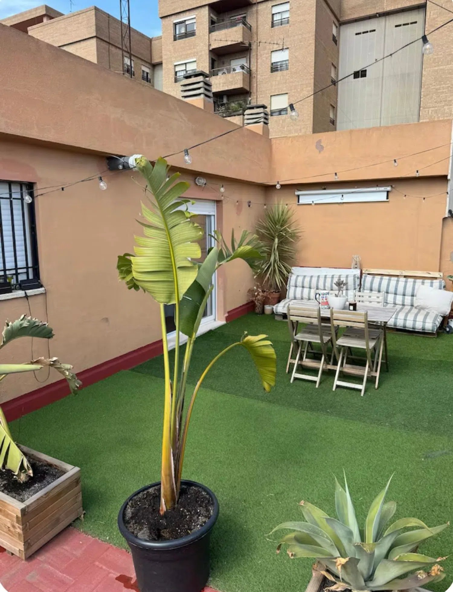 Estudio en calle de Polo y Peyrolón, 17 - Foto 7