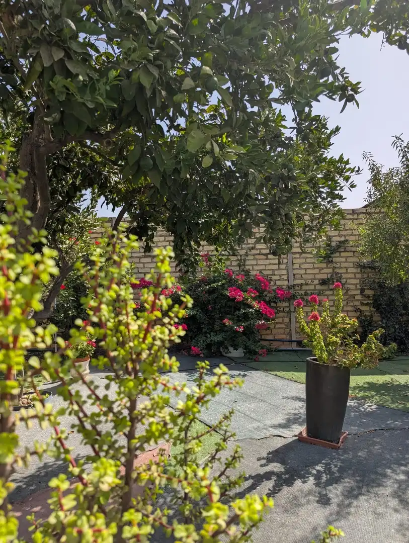 Chalet en  Urbanización Luisas B 32 - Foto 3