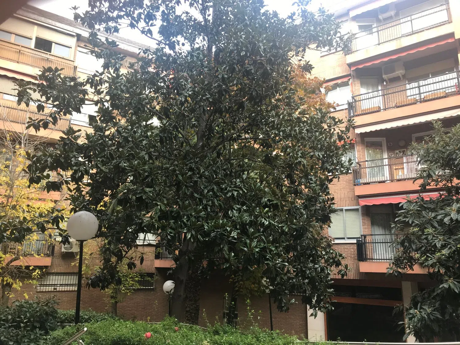 Piso en calle de Vinaroz, 16 - Foto 13