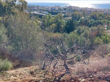 Terreno en  Urbanización Montaña Marbella Club 2 - Foto 5