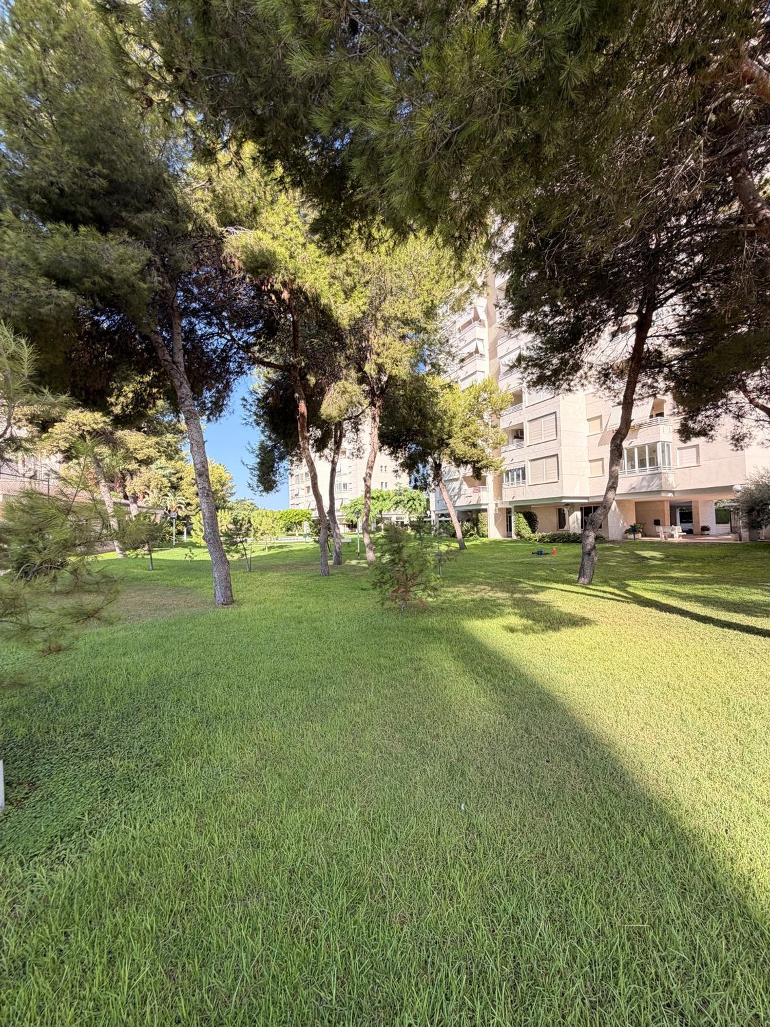 Piso en Avenida Oviedo, 15, Playa de San Juan - Foto 27