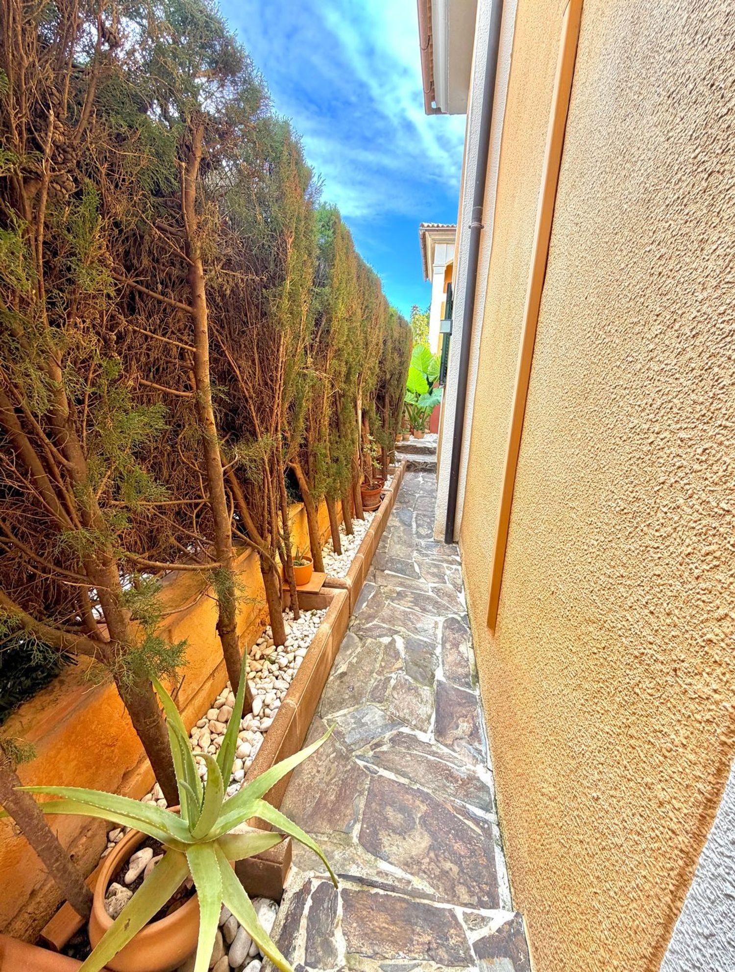 Chalet pareado en Calle Penya-Segat, 37 a, Badia Blava-Badia Gran-Tolleric, Badia Blava-Badia Gran-Tolleric - Foto 34