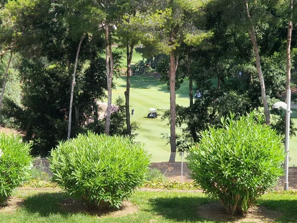Piso en Ronda del Golf Oeste, 5, Hacienda Torrequebrada - Foto 21